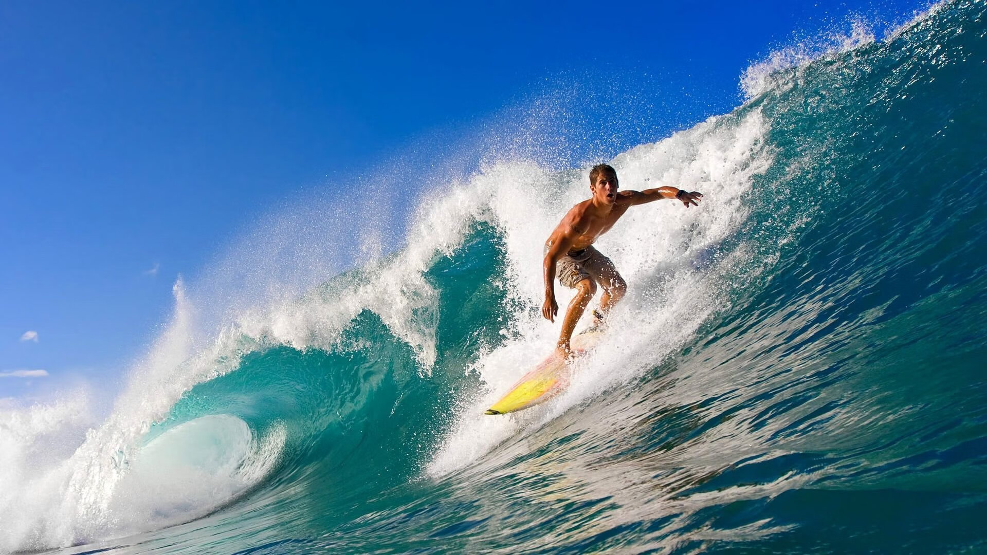 伊朗男排击败中国，三连冠加冕，伊朗男排接应